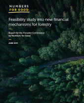 Feasibility Study into New Financial Mechanisms for Forestry
